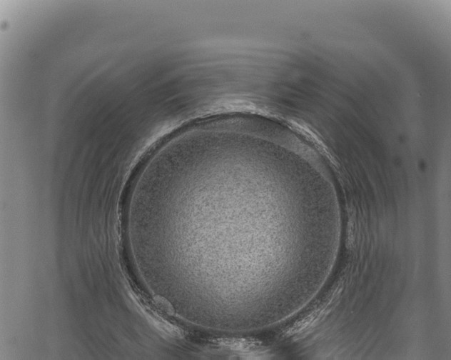 X0000066950439200603311446