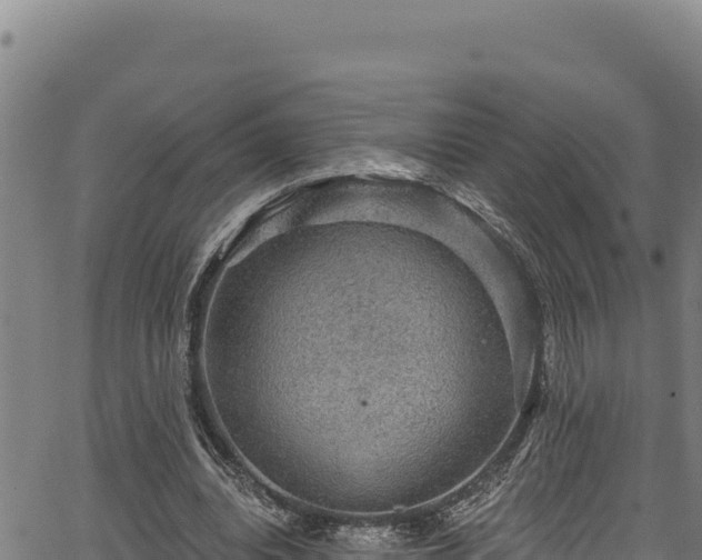 X0000066950440200603311446