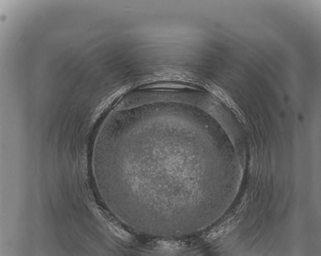 X0000066950442200603311446