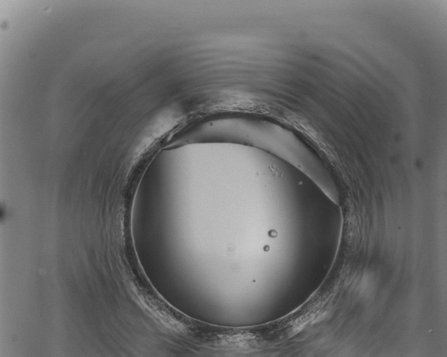 X0000066950446200603311446