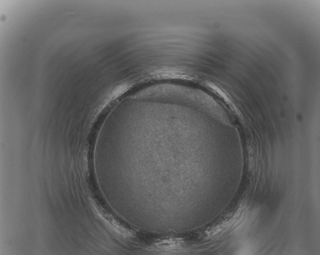 X0000066950447200603311446