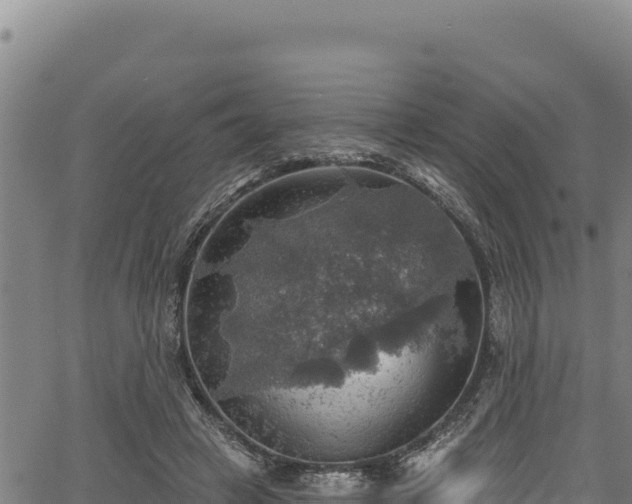 X0000066950449200603311446