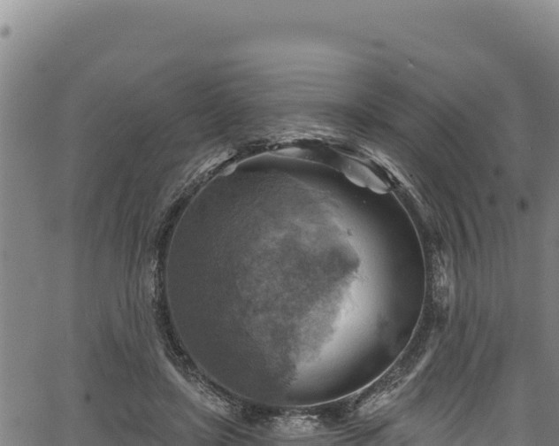 X0000066950451200603311446