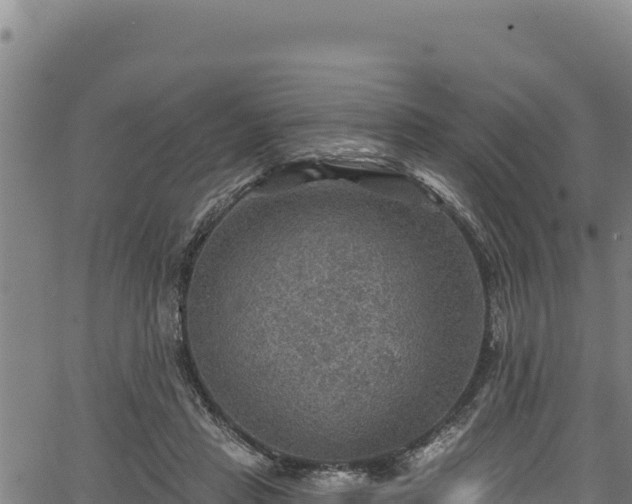 X0000066950453200603311446