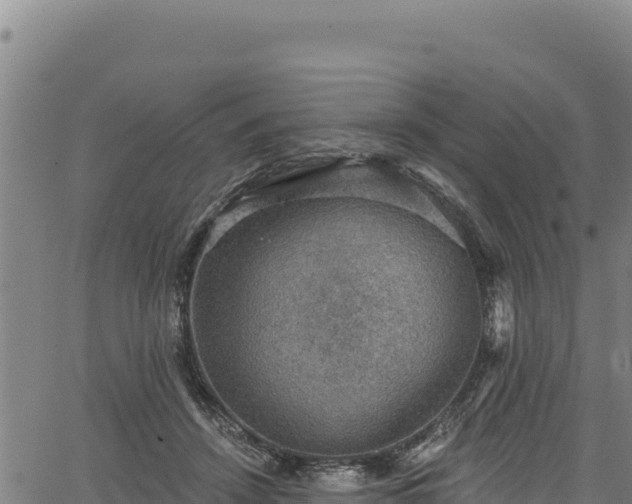 X0000066950456200603311446