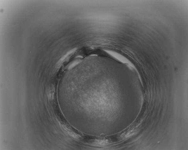 X0000066950458200603311446