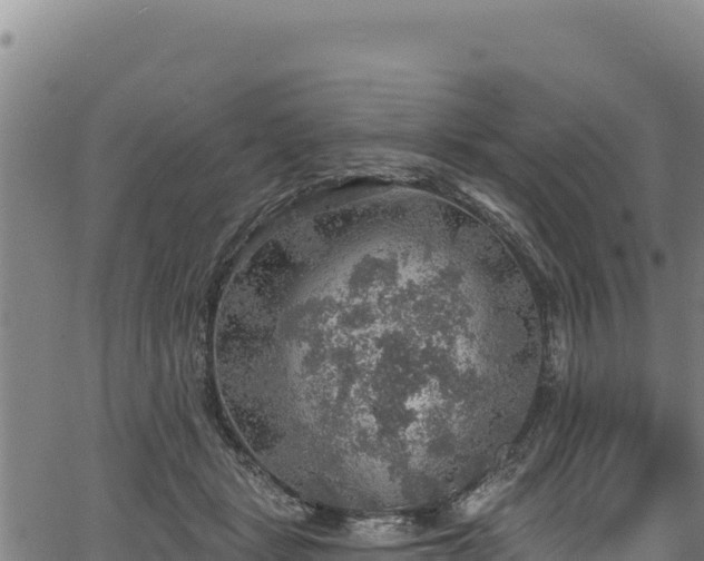 X0000066950461200603311446