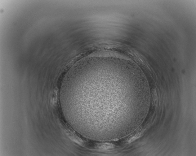 X0000066950463200603311446