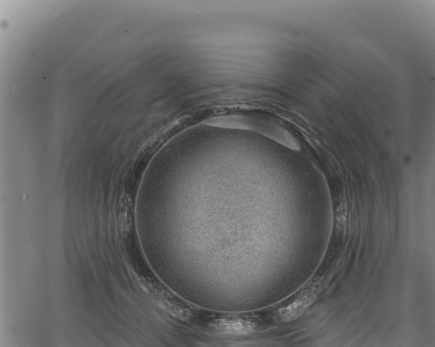 X0000066950464200603311446