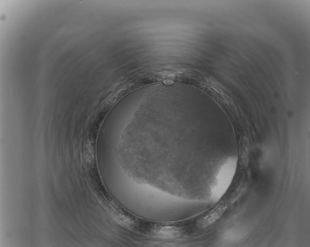 X0000066950467200603311446