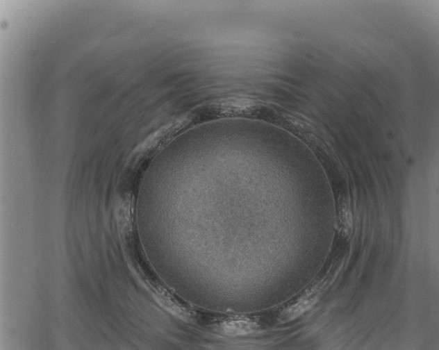 X0000066950468200603311446