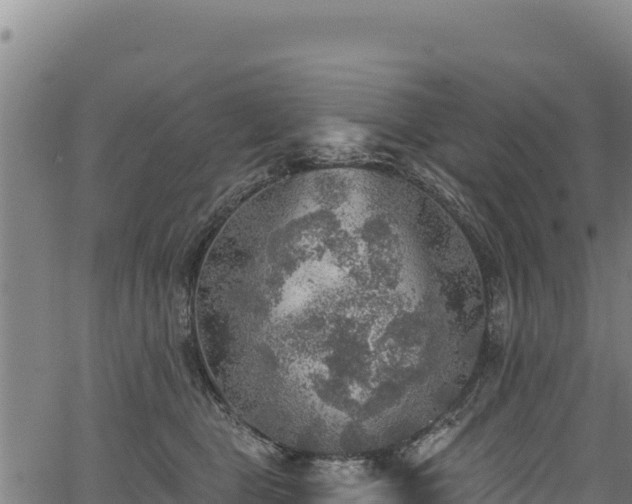 X0000066950469200603311447