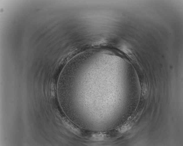 X0000066950470200603311447