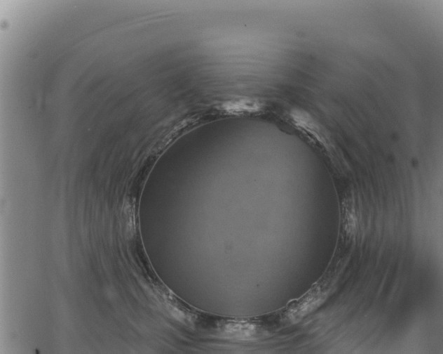 X0000066950471200603311447