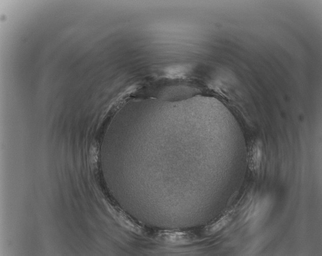 X0000066950472200603311447