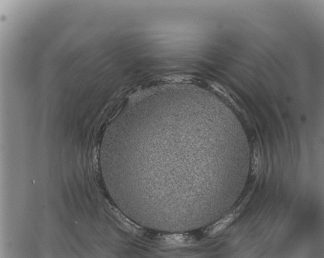 X0000066950473200603311447