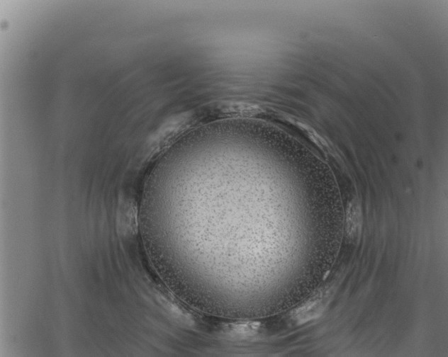 X0000066950474200603311447