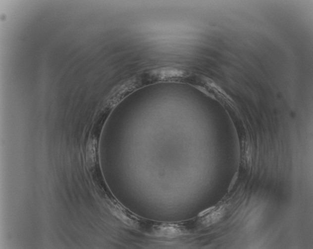 X0000066950475200603311447