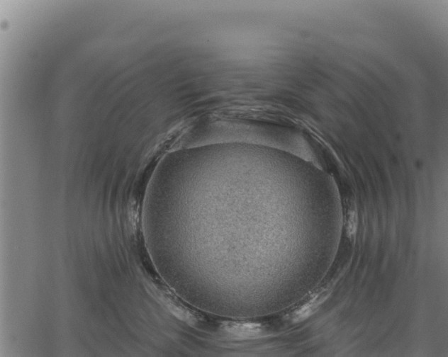 X0000066950476200603311447