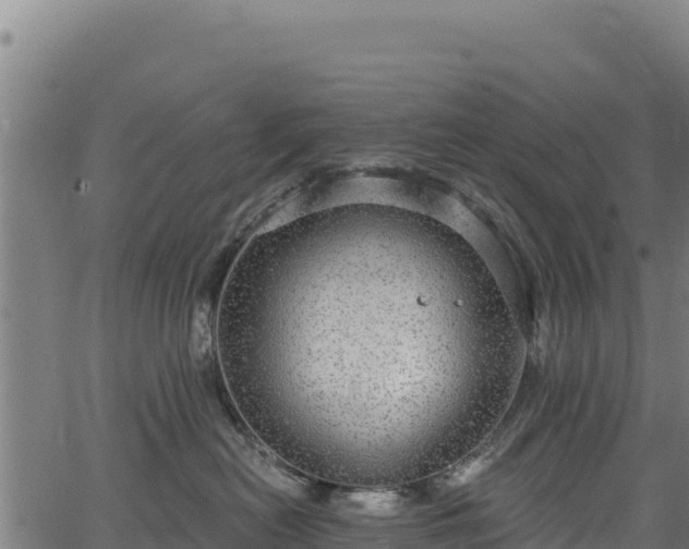 X0000066950478200603311447