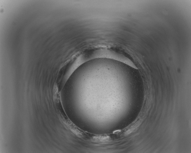 X0000066950480200603311447