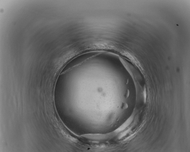 X0000066950481200603311446