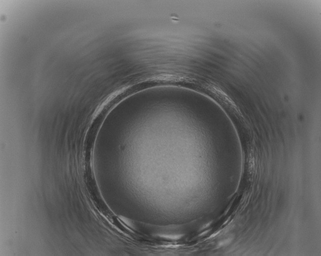 X0000066950484200603311446