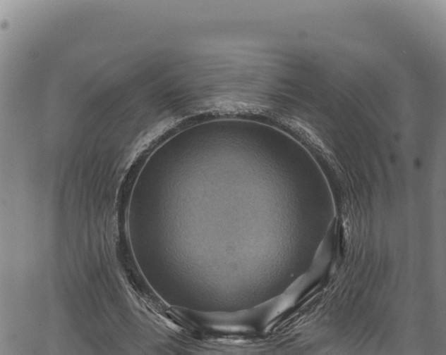 X0000066950488200603311446