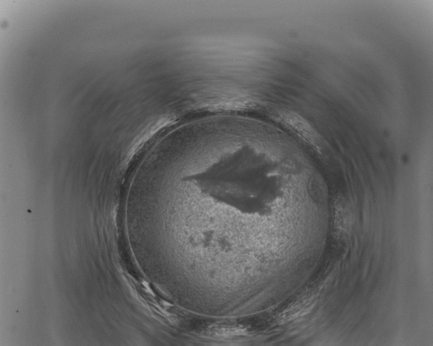 X0000066950491200603311446