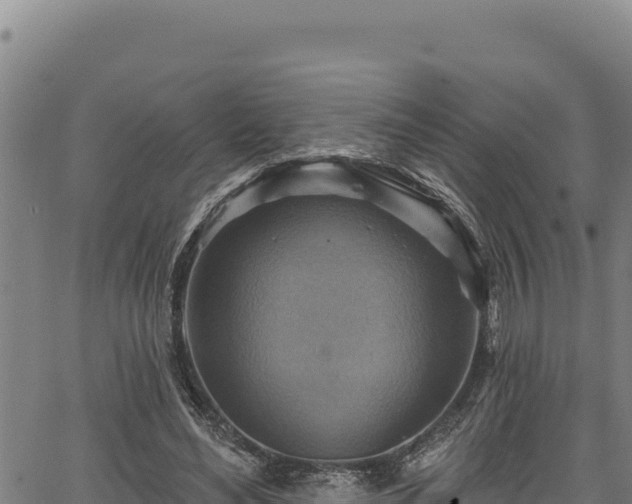 X0000066950492200603311446