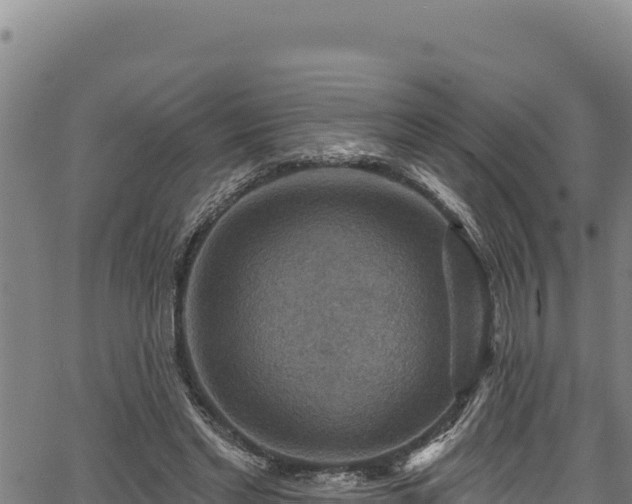 X0000066950493200603311446