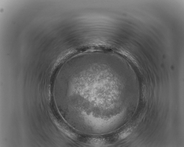 X0000066950494200603311446