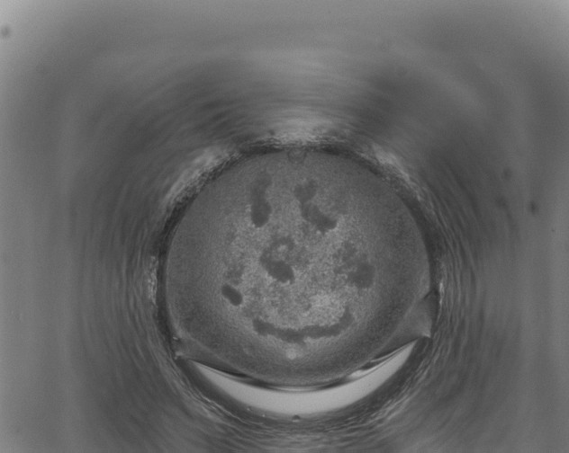 X0000066950495200603311446