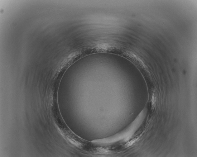 X0000066950496200603311446