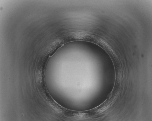 X0000066950497200603311446