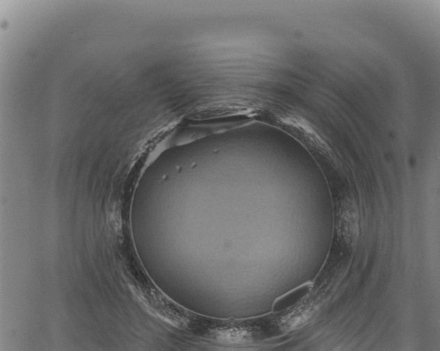 X0000066950500200603311446