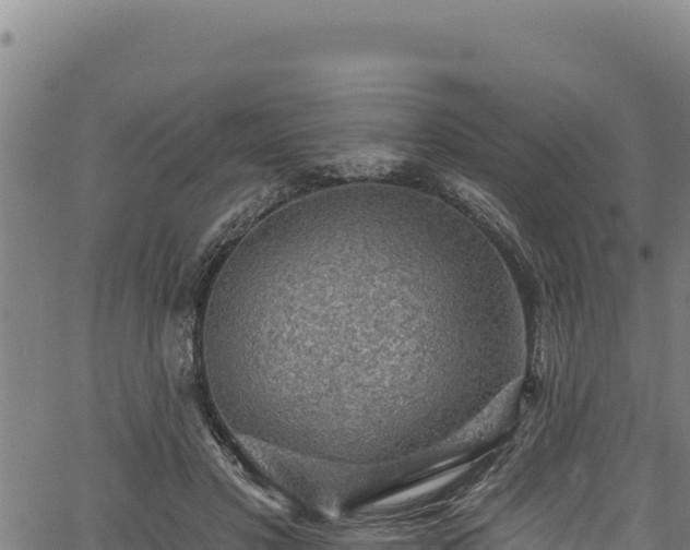 X0000066950501200603311446