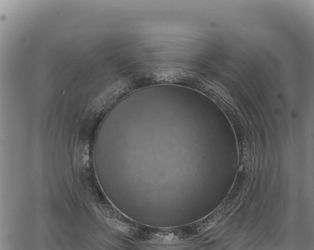 X0000066950502200603311446