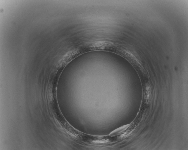 X0000066950504200603311446