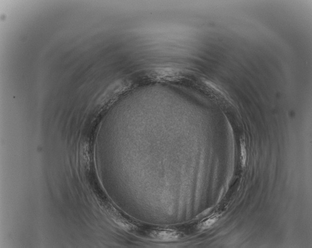 X0000066950506200603311446