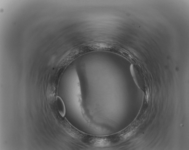 X0000066950507200603311445