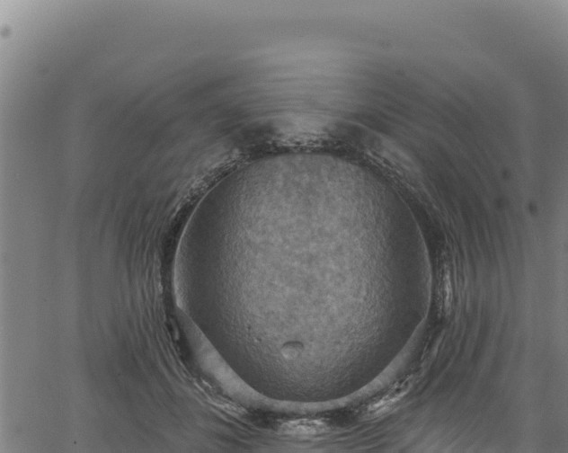 X0000066950508200603311445