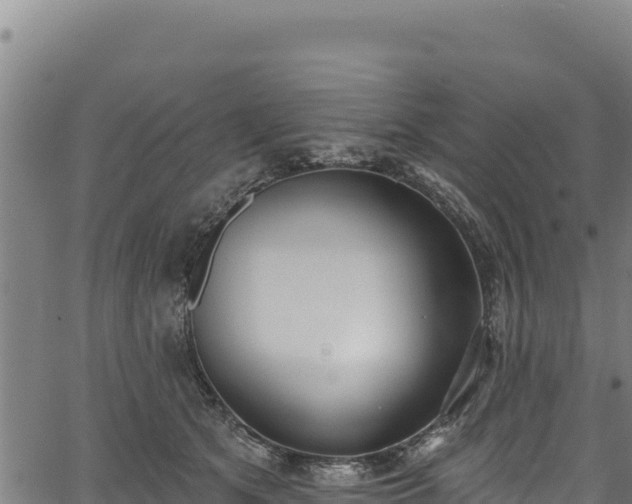 X0000066950513200603311445