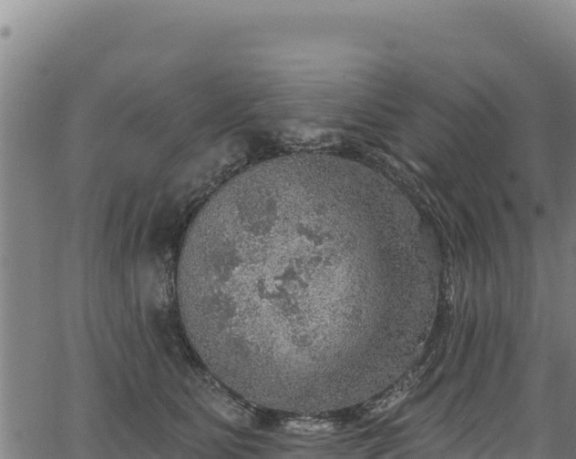 X0000066950515200603311445