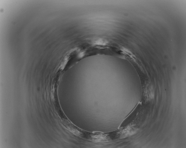 X0000066950516200603311445