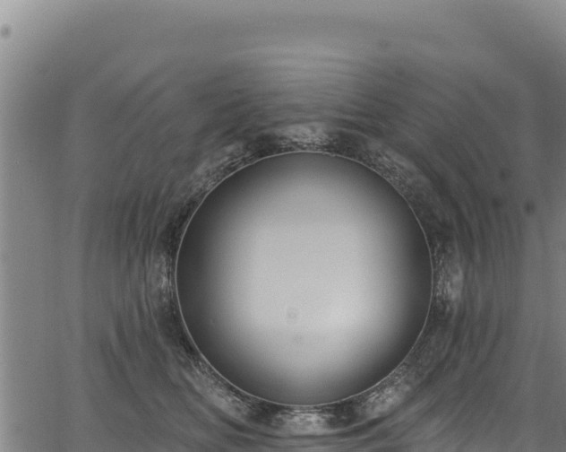 X0000066950518200603311445