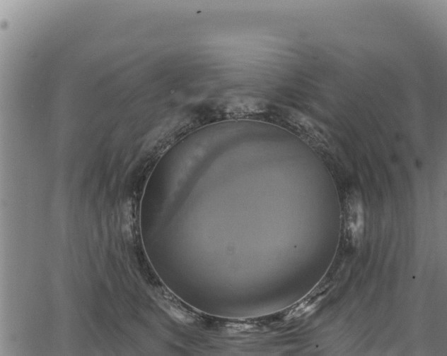 X0000066950519200603311445