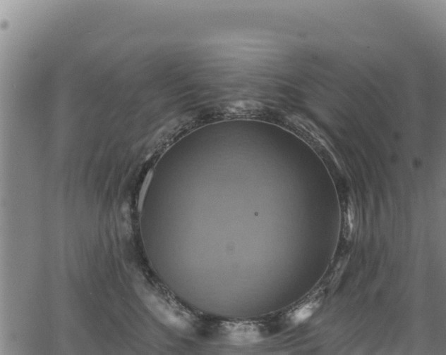 X0000066950520200603311445