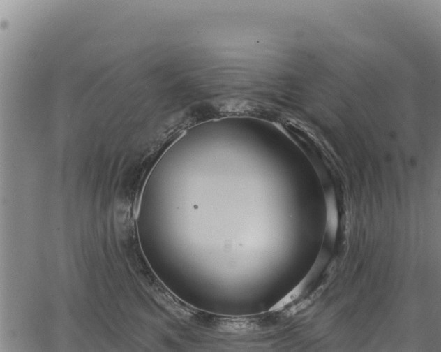 X0000066950521200603311445