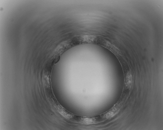 X0000066950522200603311445